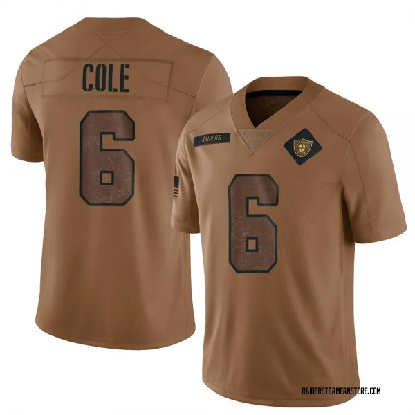 Men's AJ Cole Las Vegas Raiders Limited Brown 2023 Salute To Service Jersey