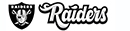 Raiders Store